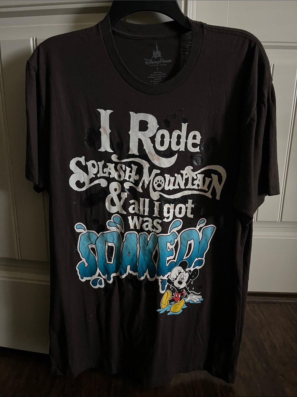 Disney Brown Short Sleeve Graphic 'I Rode Splash Mountain' Tee with Blue Accents